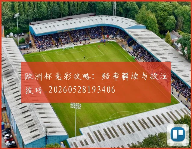 欧洲杯竞彩攻略：赔率解读与投注技巧_20260528193406